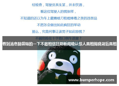 看到消息脑袋嗡的一下不敢相信狂刷新闻确认惊人真相揭晓背后真相