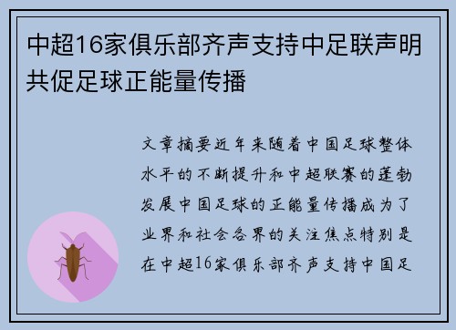 中超16家俱乐部齐声支持中足联声明共促足球正能量传播